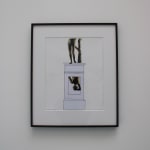 Michael Snow, Snow (De, A, Pour Thierry), janv. 2002-oct. 2007