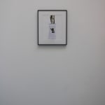 Michael Snow, Snow (De, A, Pour Thierry), janv. 2002-oct. 2007