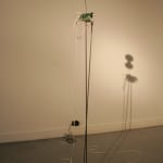 Adriana Salazar, Planta móvil #30, 2011