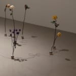 Adriana Salazar, Planta móvil #30, 2011