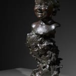 Thumbnail of additional image