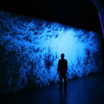 Eric Eriston Winarto, INSTALLATION, WALD, CHER, FRANCE