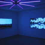 Eric Eriston Winarto, INSTALLATION, WALD, CHER, FRANCE