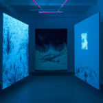 Eric Eriston Winarto, INSTALLATION, WALD, CHER, FRANCE