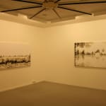 Eric Eriston Winarto, INSTALLATION, WALD, CHER, FRANCE