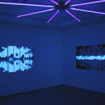 Eric Eriston Winarto, INSTALLATION, WALD, CHER, FRANCE