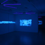 Eric Eriston Winarto, INSTALLATION, WALD, CHER, FRANCE