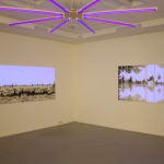 Eric Eriston Winarto, INSTALLATION, WALD, CHER, FRANCE