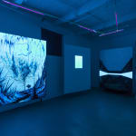 Eric Eriston Winarto, INSTALLATION, WALD, CHER, FRANCE