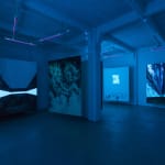 Eric Eriston Winarto, INSTALLATION, WALD, CHER, FRANCE