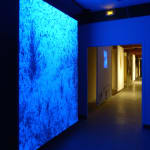 Eric Eriston Winarto, INSTALLATION, WALD, CHER, FRANCE