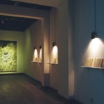 Eric Eriston Winarto, INSTALLATION, WALD, CHER, FRANCE