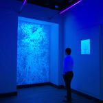 Eric Eriston Winarto, INSTALLATION, WALD, CHER, FRANCE