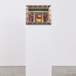 Kenji Sugiyama, Cell - Inside of Myself, 2023