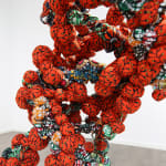 Samuel Nnorom , When Growth is Constant, 2024