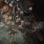 Agostino Arrivabene, L'anacoreta e l'anestetico, 2025