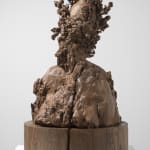 Agostino Arrivabene , Proserpina metamorfica, 2025