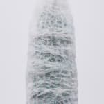 Cactus No.33, 2009