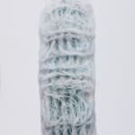 Cactus No.33, 2009