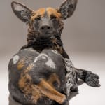 Nick Mackman, Wild Dogs