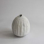 Akiko Hirai, 101. Kohiki Vase with Wood Ash Fluted