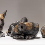 Nick Mackman, Wild Dogs
