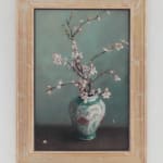 Melissa Franklin Sanchez, Garden Roses