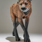 Nick Mackman, Giant of the Plains