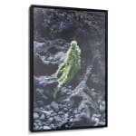 Esther van der Heijden and Nosh Neneh, Living Monuments of The Deep - Hydnophora Bonsai, 2023