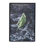 Esther van der Heijden and Nosh Neneh, Living Monuments of The Deep - Hydnophora Bonsai, 2023