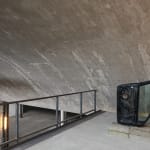 Ivan Seal, Imbasadorsdagasfling, 2017