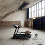 Julius von Bismarck, Joe Is Dead, 2016