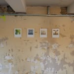 Lea Bouton, 4 Panneaux , 2025