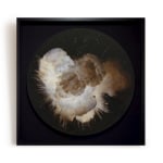 CHRISTIAN FURR, Jouissance, State II - The Exuberant Fertility of the Universal Will , 2015