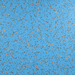 ANDREW RYDER, Air, 2024