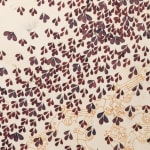 Ambreen Butt, Installation view, 'Daughters of the East,' as part of 'Multiple Voices,' Gallery Wendi Norris, San Francisco, CA, 2024