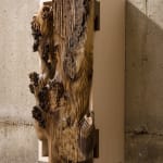 Alan Meredith, Dearcán Triptych