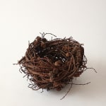 Joe Hogan, Two Reclining Willow Pods With A Lichen-Marked Stone