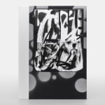 Adam Pendleton, Special Edition 40/40, 2024