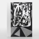 Adam Pendleton, Special Edition 40/40, 2024
