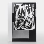Adam Pendleton, Special Edition 40/40, 2024