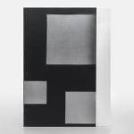 Adam Pendleton, Special Edition 40/40, 2024