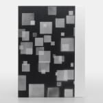 Adam Pendleton, Special Edition 40/40, 2024