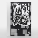 Adam Pendleton, Special Edition 40/40, 2024