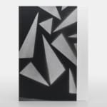Adam Pendleton, Special Edition 40/40, 2024