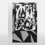 Adam Pendleton, Special Edition 40/40, 2024
