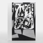 Adam Pendleton, Special Edition 40/40, 2024