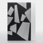 Adam Pendleton, Special Edition 40/40, 2024