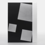 Adam Pendleton, Special Edition 40/40, 2024
