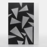 Adam Pendleton, Special Edition 40/40, 2024